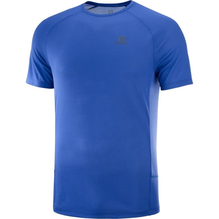 Camiseta Salomon Cross Rebel Curta Sleeve Masculino Azuis | PT K56912